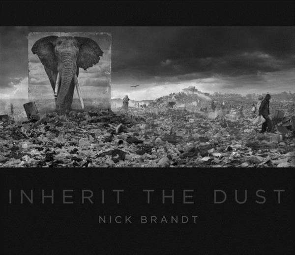 Cover Art for 9780692520543, Nick Brandt: Inherit the Dust by Nick Brandt