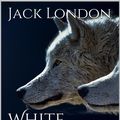 Cover Art for 1230000819909, White Fang by Jack London