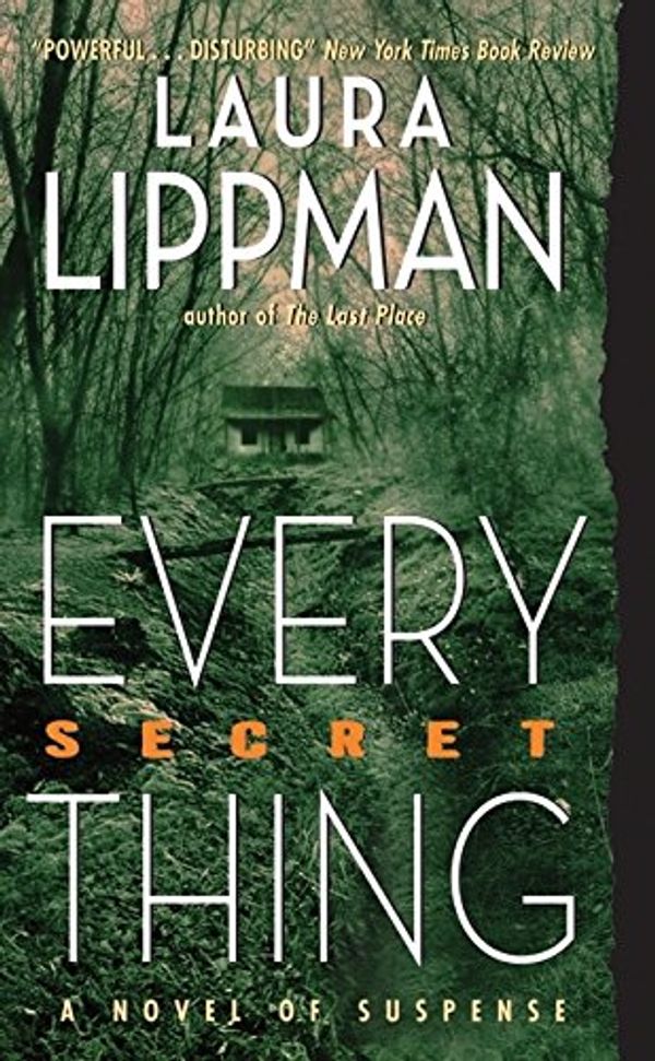 Cover Art for 9780060506681, Every Secret Thing by Laura Lippman