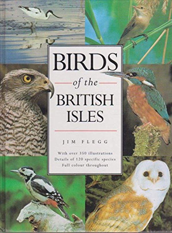 Cover Art for 9781856056021, Birds of the British Isles by Jim Flegg