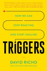 Cover Art for 9781611807653, Triggers by David Richo