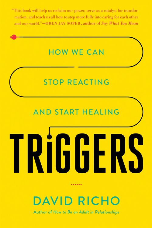 Cover Art for 9781611807653, Triggers by David Richo