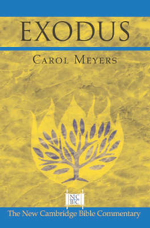 Cover Art for 9780521002912, Exodus by Carol Meyers