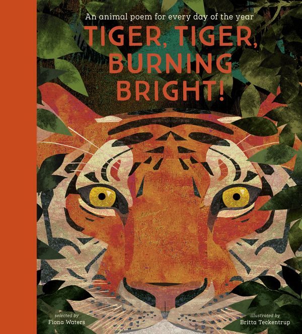 Cover Art for 9781788005678, Tiger, Tiger, Burning Bright by Fiona Waters