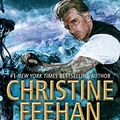 Cover Art for B0818ZZZFY, Desolation Road (Torpedo Ink Book 4) by Christine Feehan