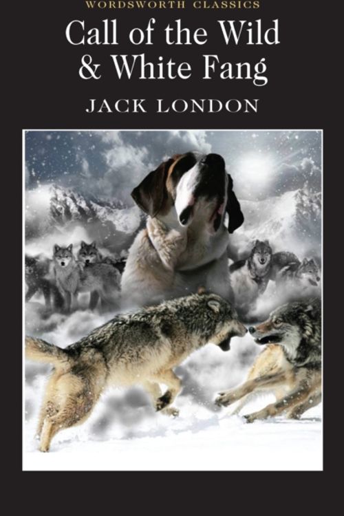 Cover Art for 9781853260261, Call of the Wild & White Fang by Jack London