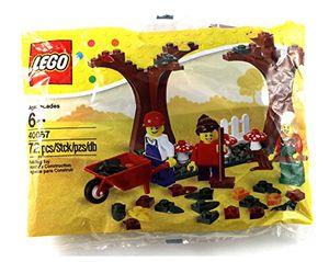Cover Art for 0673419183819, Fall Scene Set 40057 by LEGO
