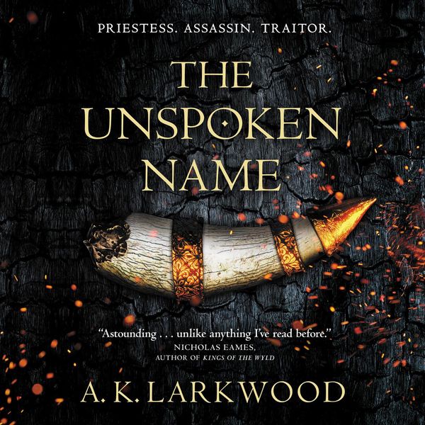 Cover Art for 9781250264060, The Unspoken Name by A. K. Larkwood