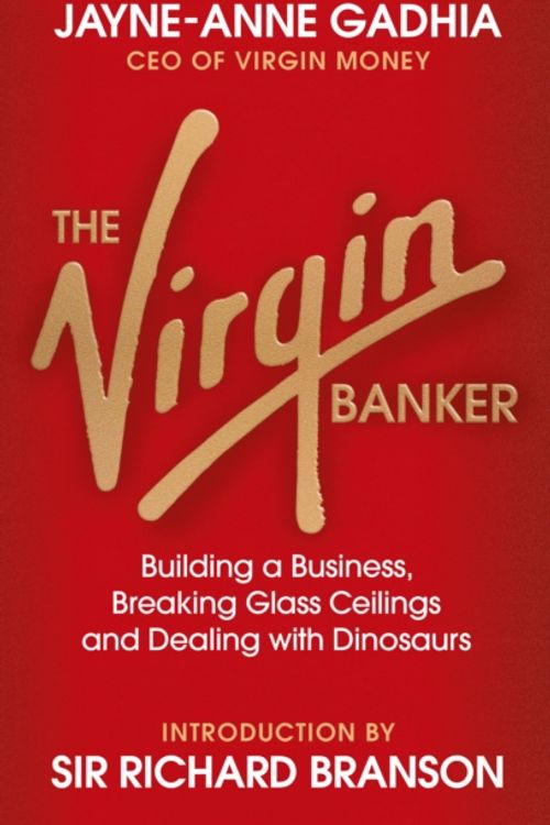 Cover Art for 9780753552261, The Virgin Banker by Jayne-Anne Gadhia