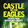 Cover Art for 9781785781193, Castle of the Eagles by Mark Felton