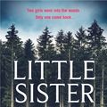 Cover Art for 9780241470978, Little Sister by Gytha Lodge