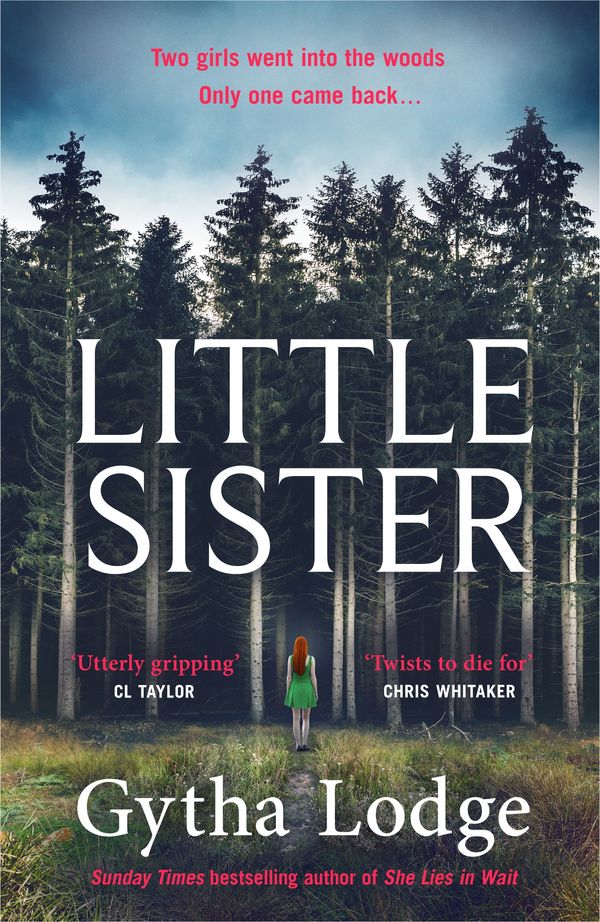 Cover Art for 9780241470978, Little Sister by Gytha Lodge