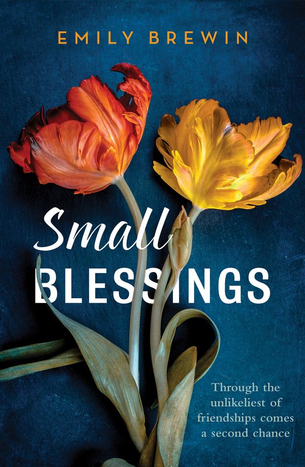 Cover Art for 9781760632267, Small Blessings by Emily Brewin