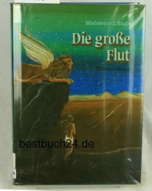 Cover Art for 9783522165709, Die große Flut by Madeleine L'Engle