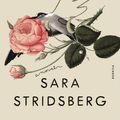 Cover Art for 9781250619594, Valerie: Or, the Faculty of Dreams by Sara Stridsberg