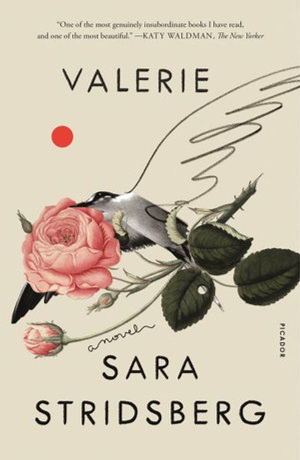 Cover Art for 9781250619594, Valerie: Or, the Faculty of Dreams by Sara Stridsberg