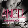 Cover Art for 9781611135473, Angel by James Patterson