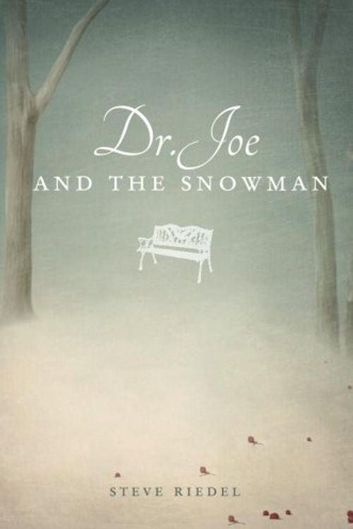 Cover Art for 9781613461150, Dr. Joe and the Snowman by Steve Riedel