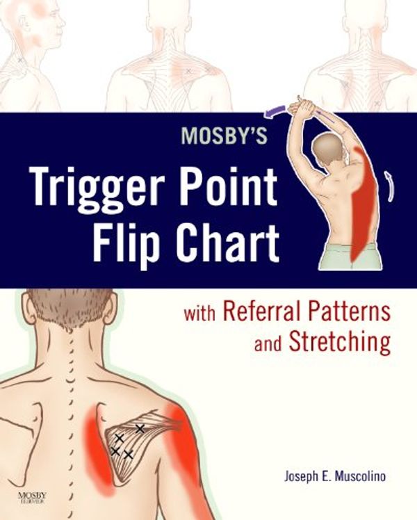 Cover Art for 9780323051705, Mosby’s Trigger Point Flip Chart with Referral Patterns and Stretching by Joseph E. Muscolino