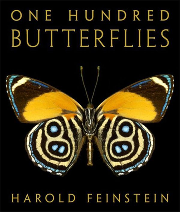 Cover Art for 9780316033633, One Hundred Butterflies: The Butterfly Photographs of Harold Feinstein by Harold Feinstein