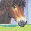 Cover Art for 9780340917886, Pony Parade by Lucy Daniels