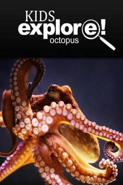 Cover Art for 9781497529885, Octopus - Kids ExploreAnimal Books Nonfiction - Books Ages 5-6 by Kids Explore!