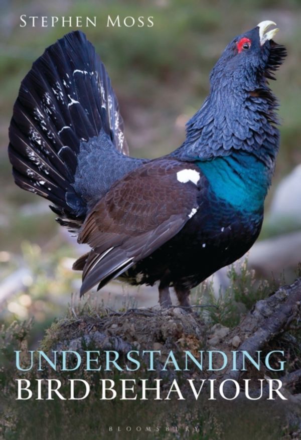Cover Art for 9781472912060, Understanding Bird Behaviour by Stephen Moss
