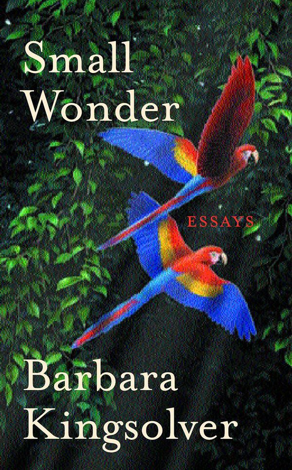 Cover Art for 9780571215775, Small Wonder by Barbara Kingsolver