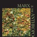 Cover Art for 9781009366182, Marx in the Anthropocene: Towards the Idea of Degrowth Communism by Kohei Saito