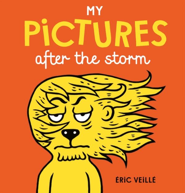 Cover Art for 9781776571048, My Pictures After the Storm by Eric Veille