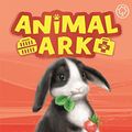 Cover Art for B076ZX3D6Y, Bunny Trouble: Book 2 (Animal Ark) by Lucy Daniels