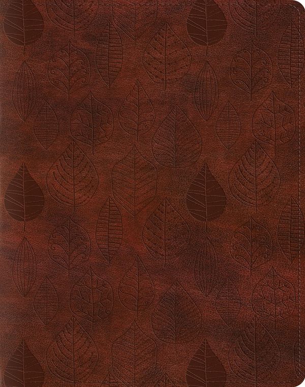 Cover Art for 9781433544408, ESV Single Column Journaling Bible by ESV Bibles by Crossway