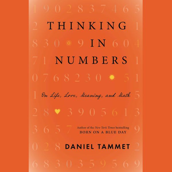 Cover Art for 9781478977650, Thinking In Numbers by Daniel Tammet