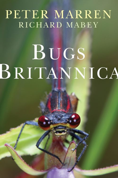 Cover Art for 9780701181802, Bugs Britannica by Peter Marren