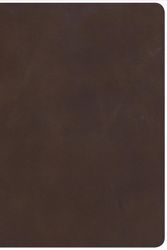 Cover Art for 9781433648083, CSB Study Bible, Brown Genuine Leather, Indexed by Csb Bibles by Holman