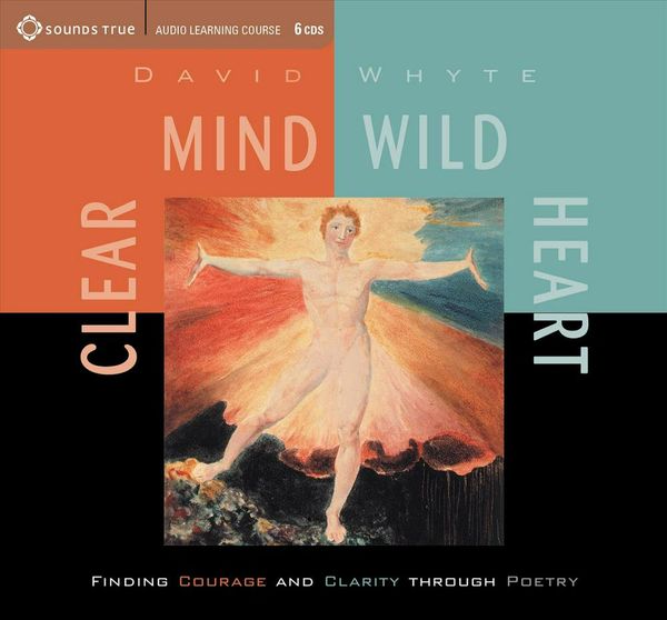Cover Art for 9781564559951, Clear Mind, Wild Heart by David Whyte