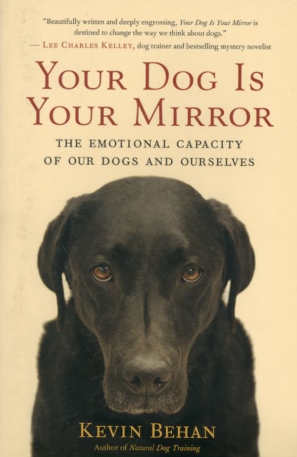 Cover Art for 9781608680887, Your Dog is Your Mirror by Kevin Behan