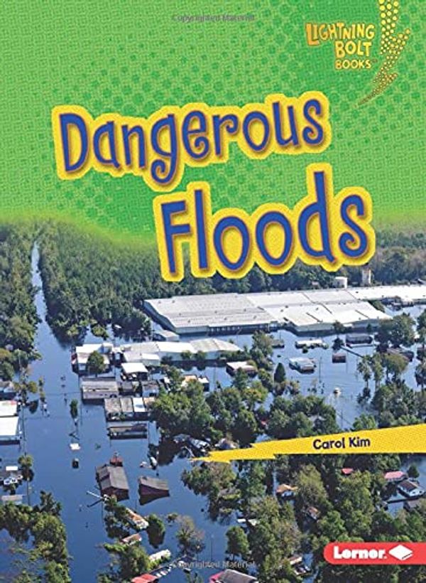 Cover Art for 9781728447940, Dangerous Floods by Carol Kim