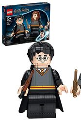 Cover Art for 0673419345033, LEGO Harry Potter 76393 Harry Potter & Hermoine Granger by Unknown
