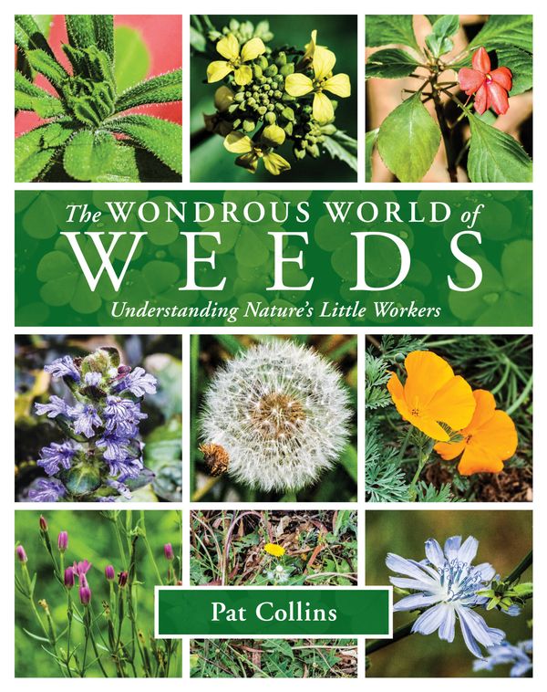 Cover Art for 9781921517792, The Wonderous World of Weeds by Pat Collins