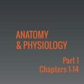 Cover Art for 9781680920314, Anatomy & Physiology: Part 1 by OpenStax