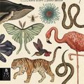 Cover Art for 9781783700608, Animalium (Welcome to the Museum) by Jenny Broom