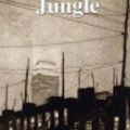Cover Art for 9781545234181, The Jungle by Upton Sinclair