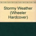 Cover Art for 9781568952765, Stormy Weather by Carl Hiaasen