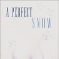 Cover Art for 9781582347882, A Perfect Snow by Nora Martin