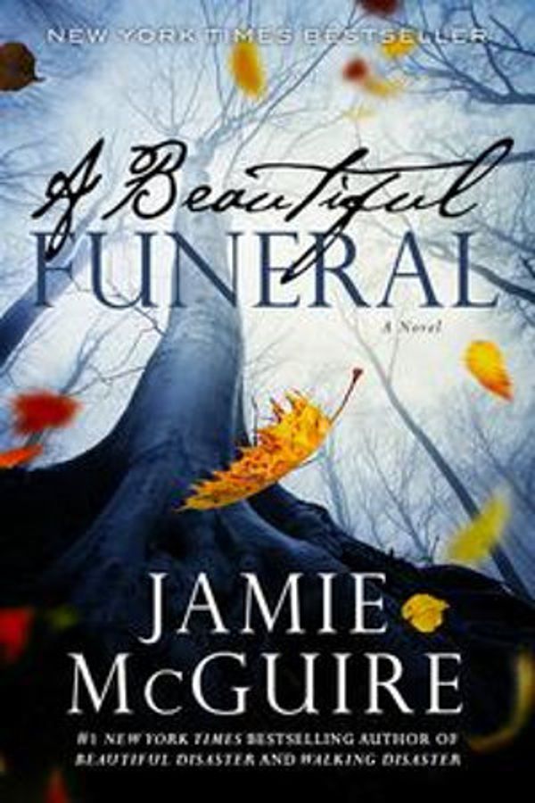 Cover Art for 9781310169199, A Beautiful Funeral: A Novel by Jamie McGuire