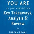 Cover Art for 9781519675446, Wherever You Go, There You Are: Mindfulness Meditation in Everyday Life by Jon Kabat-Zinn | Key Takeaways, Analysis & Review by Eureka Books