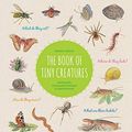 Cover Art for 9781616899745, The Book of Tiny Creatures by Nathalie Tordjman