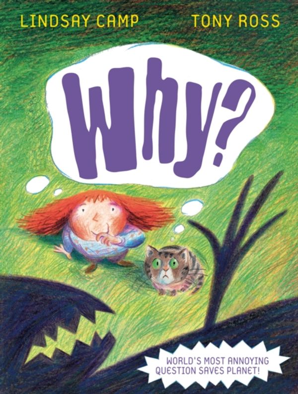 Cover Art for 9781842706077, Why? by Lindsay Camp