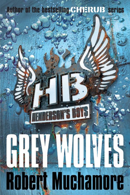Cover Art for 9780340999165, Henderson's Boys: Grey Wolves: Book 4 by Robert Muchamore
